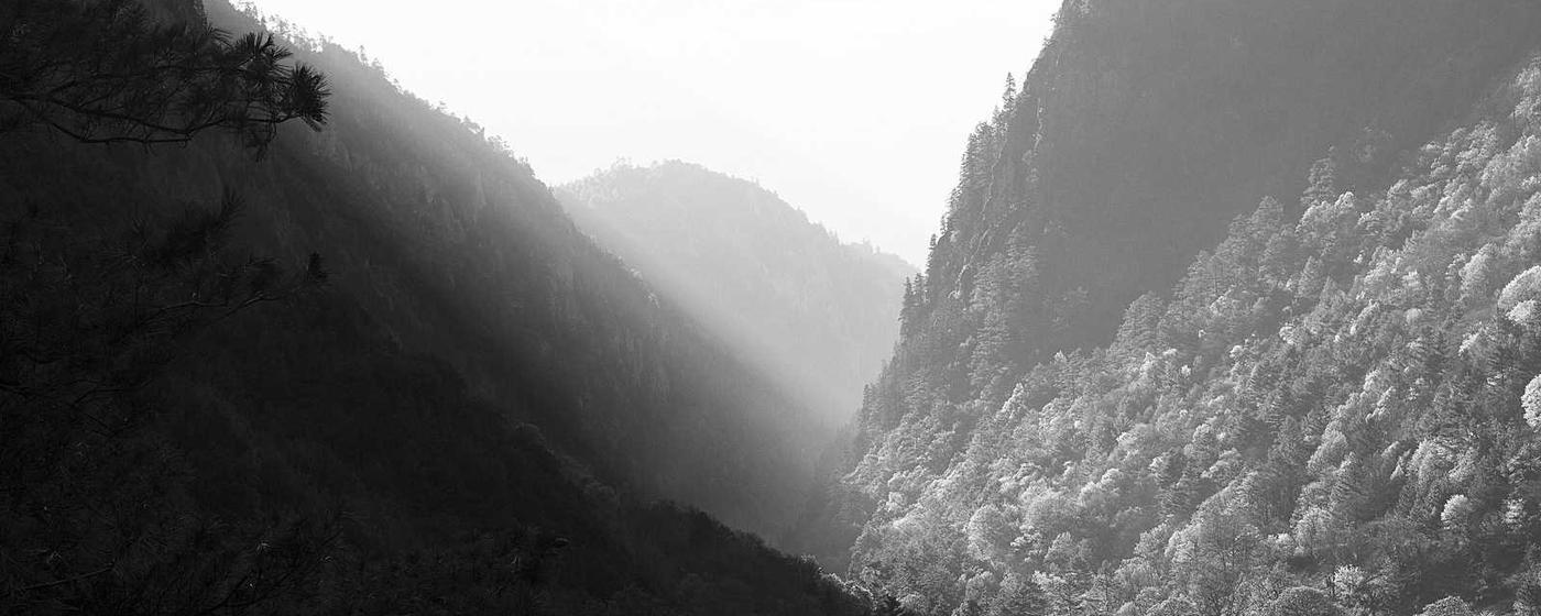 篮球联赛巅峰对决