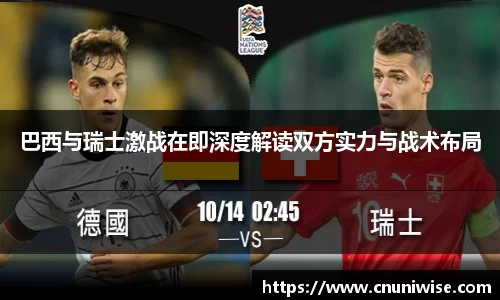 MK体育最新地址