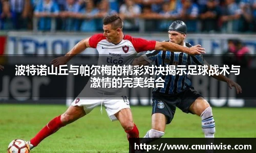 MK体育官网入口