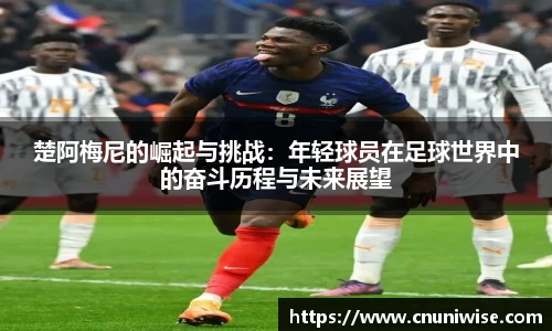 MK体育手机网页版登录